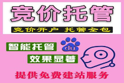 百度SEO优化公司案例：打造品牌网络曝光新高度